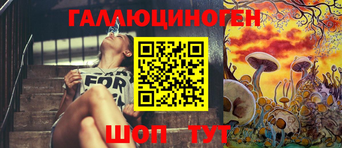 Шелехов  Псилоцибиновые грибы Psilocybe  где купить наркоту  Вход с VPN  Галлюциногенные грибы Cubensis 