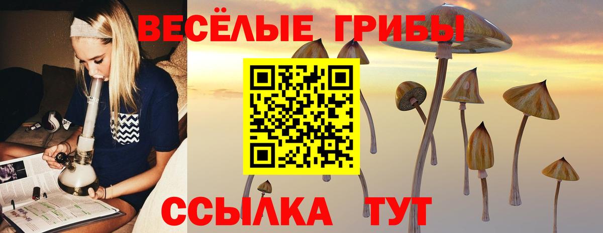 Галлюциногенные грибы Psilocybe Шелехов